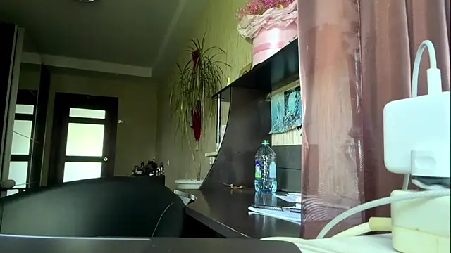 DarkShinese webcam