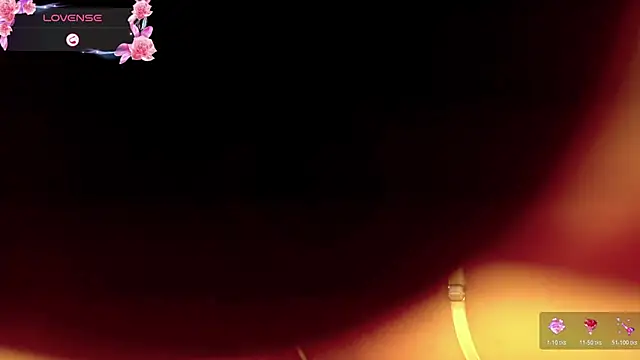 Caroline_Herschel_ webcam