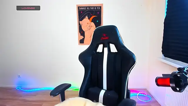 your_tora webcam
