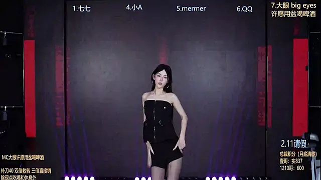 SK010 webcam