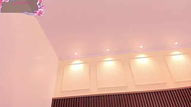 MILLYEVANS1 webcam