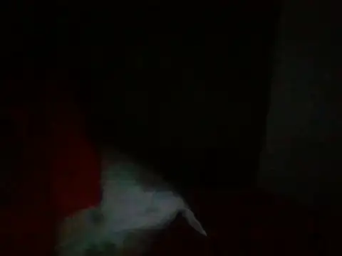 moraninha webcam