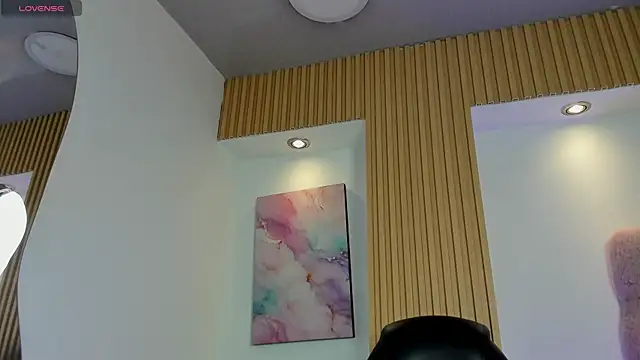 1Sloppy_Fox4 webcam