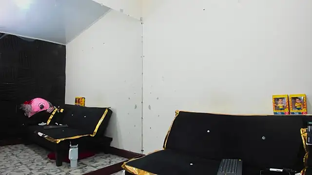 Lynn_Jones webcam