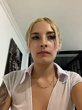 FER-723 webcam