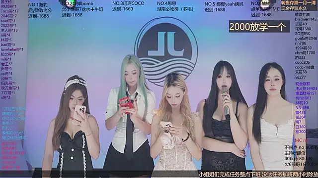Sw-001 webcam
