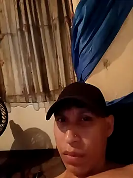 Darvin3312 webcam