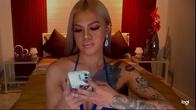 StellaStrong30 webcam