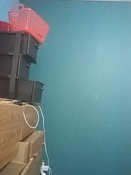 ReallyReallyReal webcam