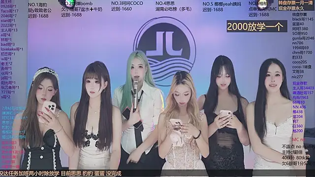 Sw-001 webcam