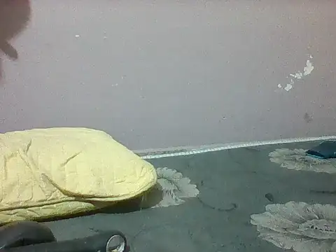 mislover webcam