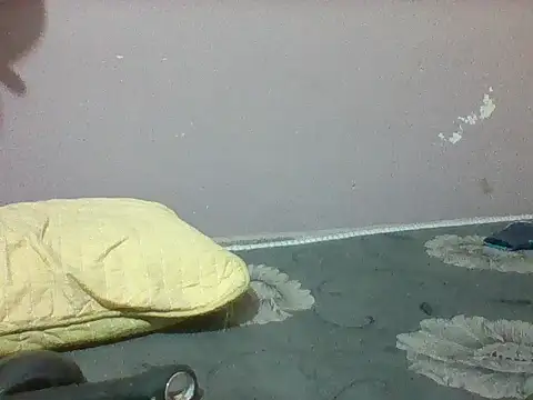 mislover webcam