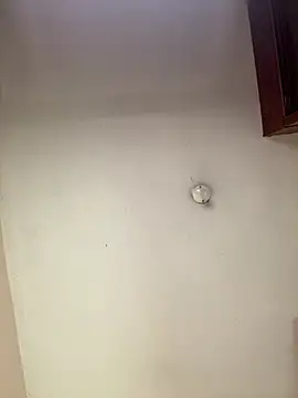 haily_babe webcam