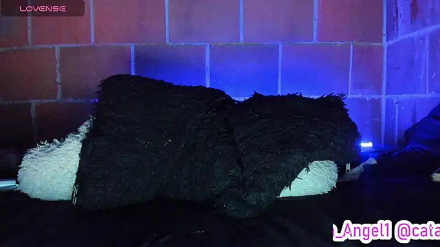 Cata-angel webcam