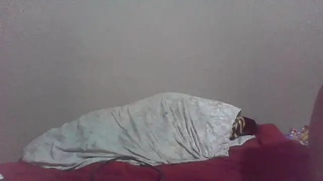 cobrosdepagos webcam