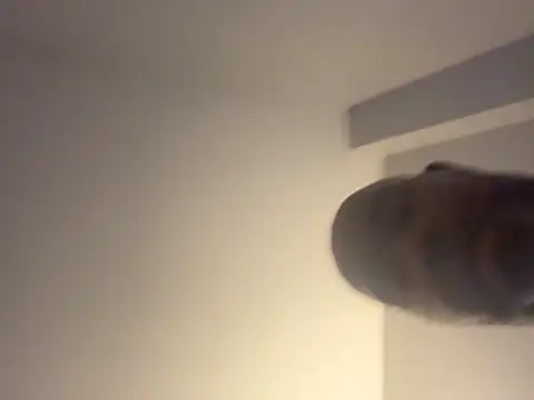 ChiRaqb8 webcam