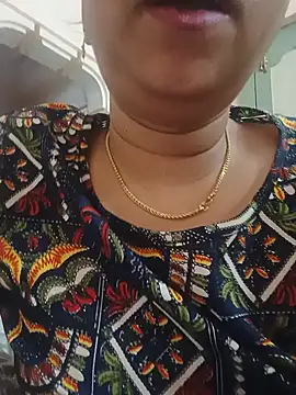 Hansikatelugu webcam