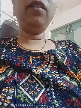 Hansikatelugu webcam