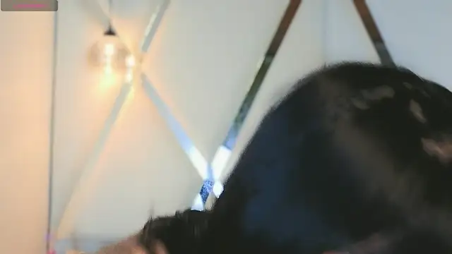 MeelFox webcam