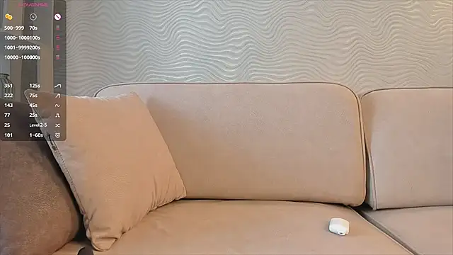 SageFrommer webcam