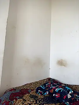 Hot-TEEE webcam