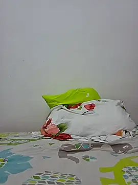 altinya webcam