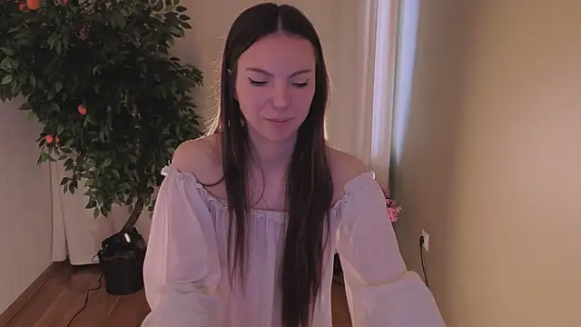 Alice-Lidel webcam