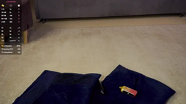 SanySenise webcam