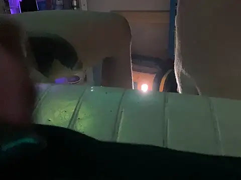 hpcouplee420 webcam
