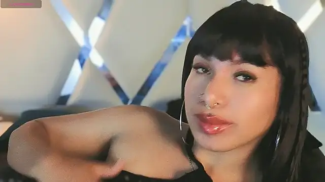 MeelFox webcam