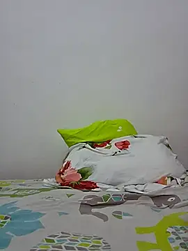 altinya webcam