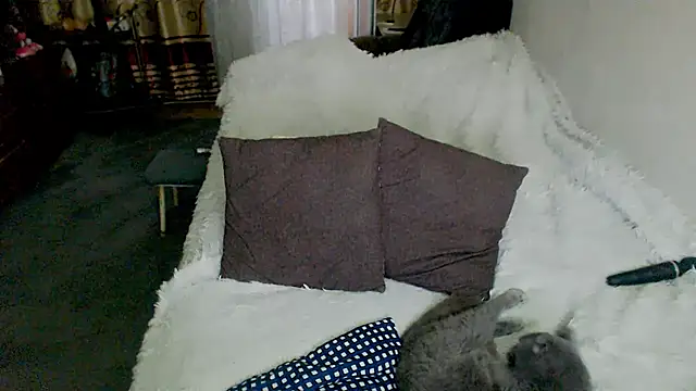 sex2 webcam