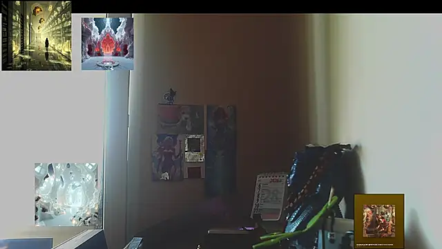 Sully_Kane webcam