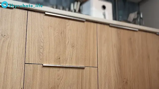 Shyrubate webcam