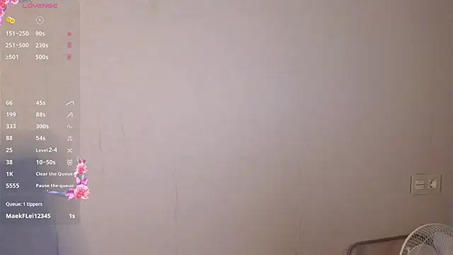 stelamontis webcam