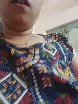 Hansikatelugu webcam