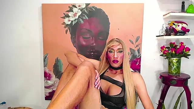 karlaveckyts webcam