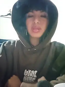 MeelFox webcam