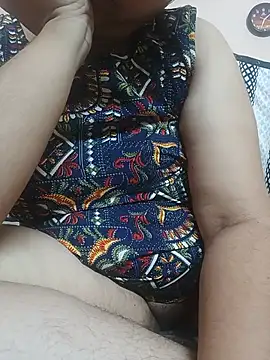 Hansikatelugu webcam