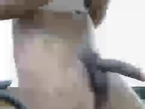 B-B-C-8 webcam