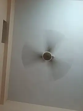 Hansikatelugu webcam