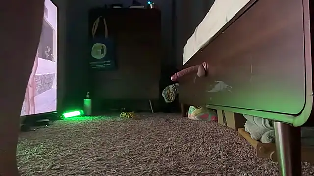 Antnjon webcam