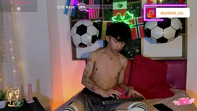 Dominik_lux webcam