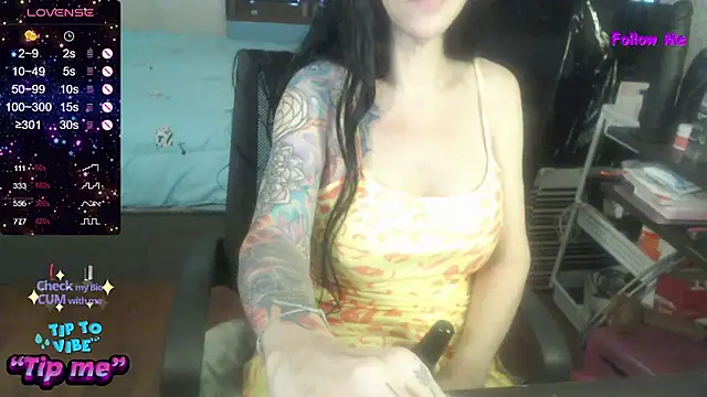 VenusX webcam