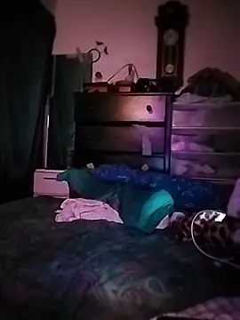 bimexpoexist webcam