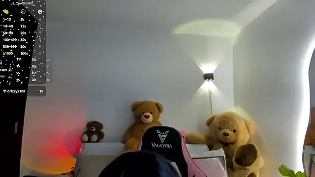 eval_lee18 webcam
