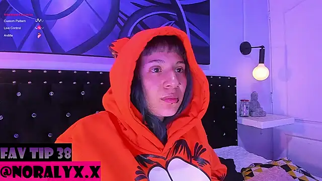 hey_noraly webcam