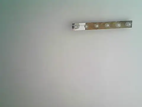 PolishMario webcam