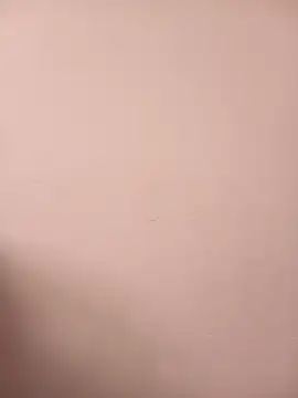 shy-lillyX22 webcam