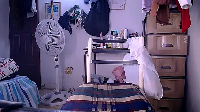 Freyjalaveau webcam